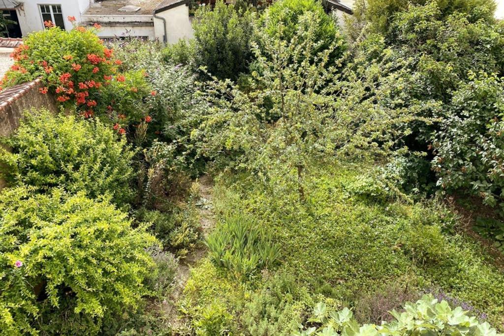 Appartement Cosy Idealement Situe Au Centre Ville Dijon Zewnętrze zdjęcie