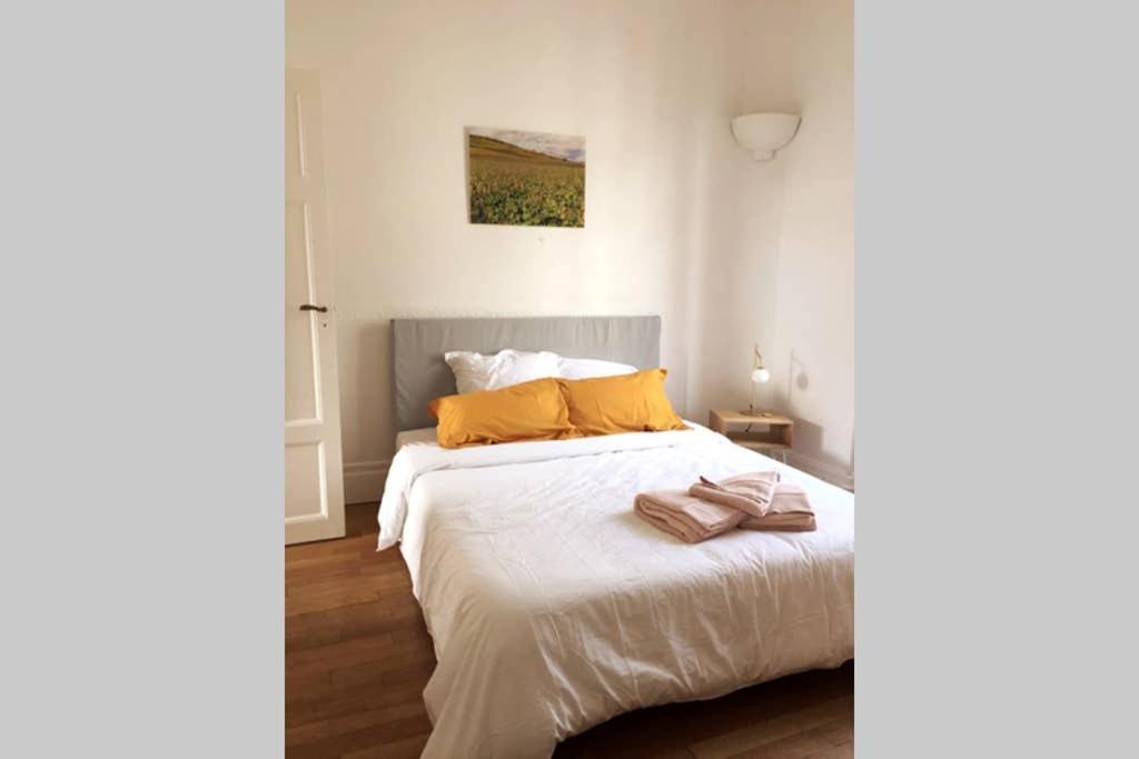 Appartement Cosy Idealement Situe Au Centre Ville Dijon Zewnętrze zdjęcie